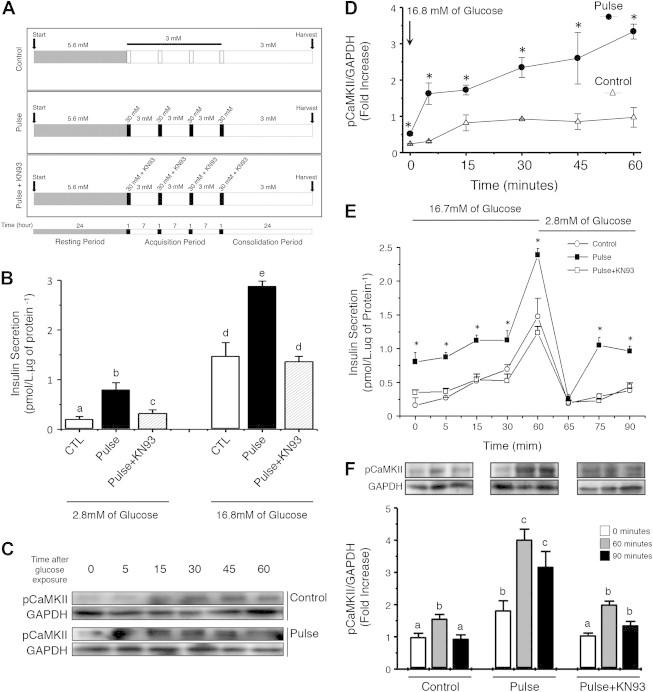 https://cdn.ncbi.nlm.nih.gov/pmc/blobs/7797/4060215/b60cf5e51d8b/gr1.jpg