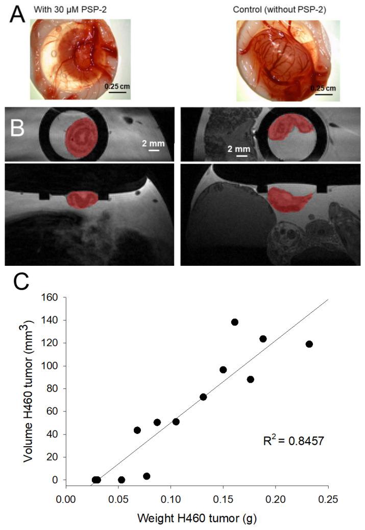 https://cdn.ncbi.nlm.nih.gov/pmc/blobs/7797/9600560/f4e88f7f9db3/cancers-14-05122-g002.jpg