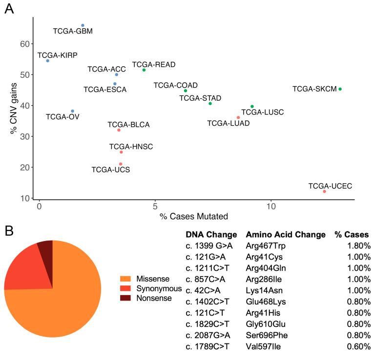 https://cdn.ncbi.nlm.nih.gov/pmc/blobs/779f/10487083/461c281c35c3/cancers-15-04236-g003.jpg