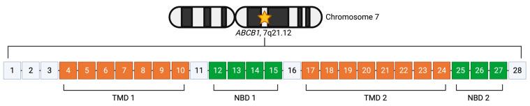 https://cdn.ncbi.nlm.nih.gov/pmc/blobs/779f/10487083/c0dc7c2b7a0a/cancers-15-04236-g002.jpg