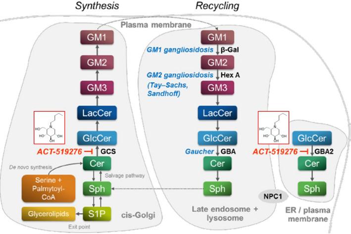 https://cdn.ncbi.nlm.nih.gov/pmc/blobs/77a0/7993281/7148dd9766b9/CTS-14-558-g002.jpg
