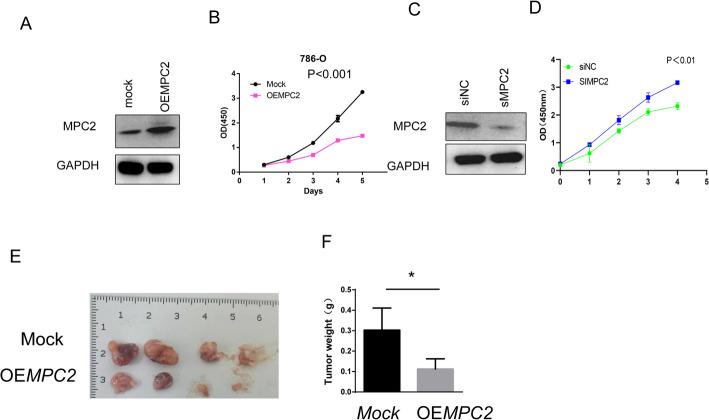 https://cdn.ncbi.nlm.nih.gov/pmc/blobs/77a1/12222602/0e1a98ea7a0d/12672_2025_3053_Figb_HTML.jpg