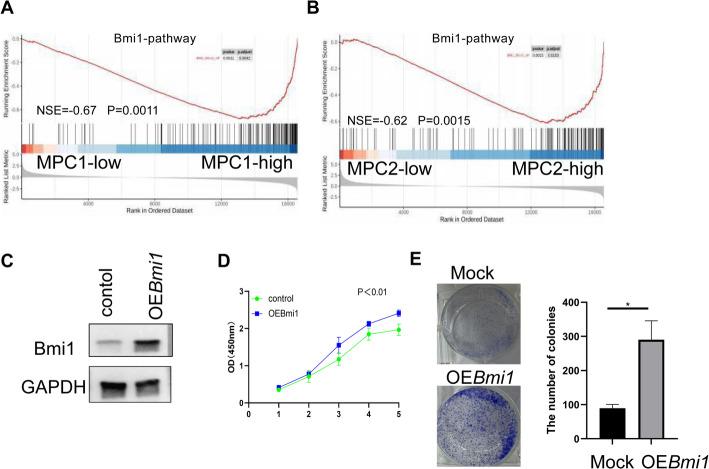 https://cdn.ncbi.nlm.nih.gov/pmc/blobs/77a1/12222602/314296d18b15/12672_2025_3053_Figd_HTML.jpg