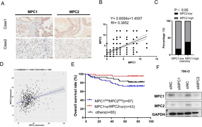 https://cdn.ncbi.nlm.nih.gov/pmc/blobs/77a1/12222602/3557d8b431c7/12672_2025_3053_Figc_HTML.jpg