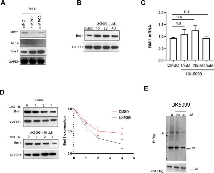https://cdn.ncbi.nlm.nih.gov/pmc/blobs/77a1/12222602/3a745e07de5a/12672_2025_3053_Fige_HTML.jpg