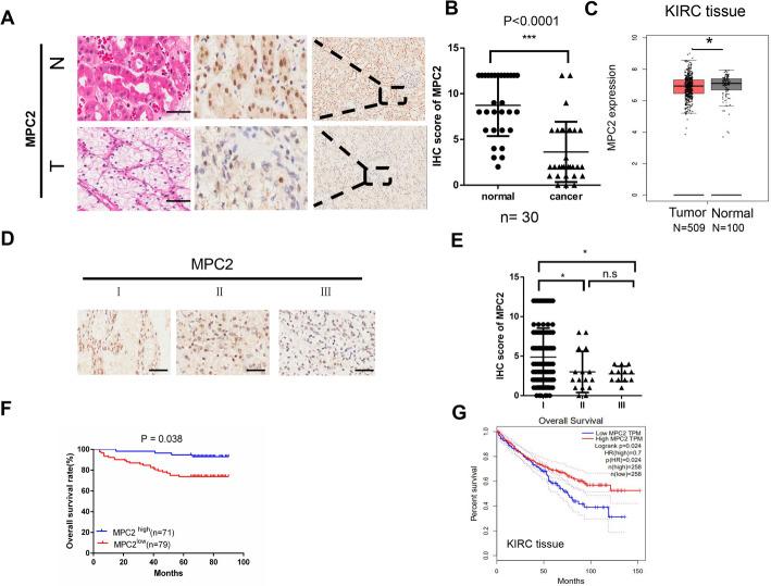 https://cdn.ncbi.nlm.nih.gov/pmc/blobs/77a1/12222602/4ef0c568e645/12672_2025_3053_Figa_HTML.jpg