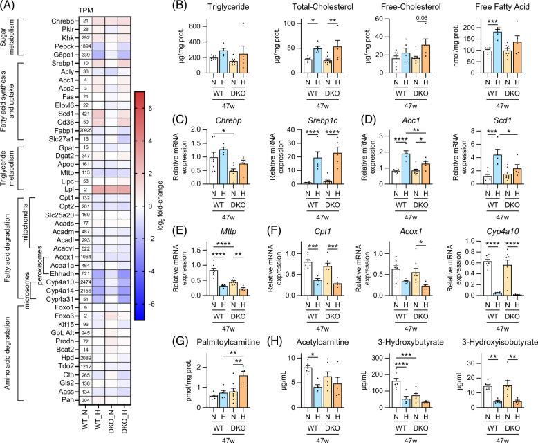 https://cdn.ncbi.nlm.nih.gov/pmc/blobs/77a3/11637755/40e5963a22ab/hc9-9-e0606-g006.jpg