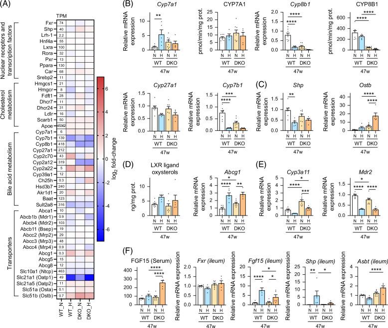 https://cdn.ncbi.nlm.nih.gov/pmc/blobs/77a3/11637755/6d2c3cd5dea8/hc9-9-e0606-g005.jpg