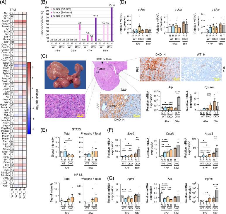 https://cdn.ncbi.nlm.nih.gov/pmc/blobs/77a3/11637755/a25c37150c14/hc9-9-e0606-g008.jpg