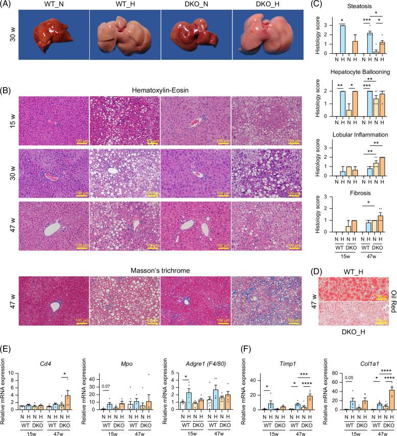 https://cdn.ncbi.nlm.nih.gov/pmc/blobs/77a3/11637755/fbce1c55efbf/hc9-9-e0606-g003.jpg