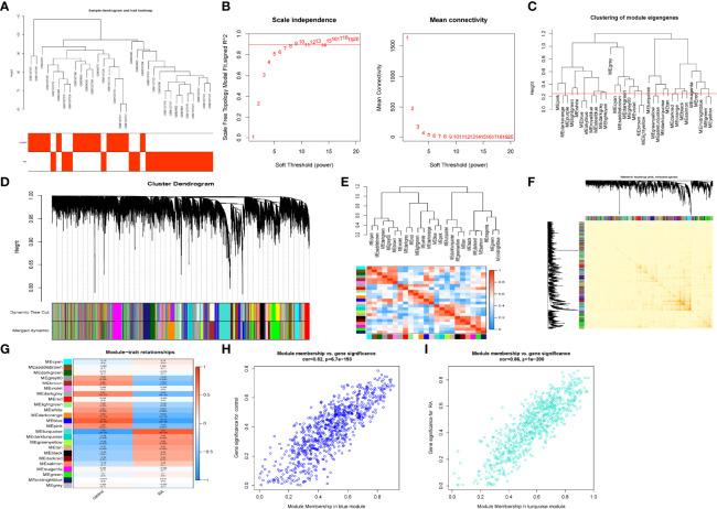 https://cdn.ncbi.nlm.nih.gov/pmc/blobs/77a3/9311328/104888c38c25/fimmu-13-954848-g002.jpg