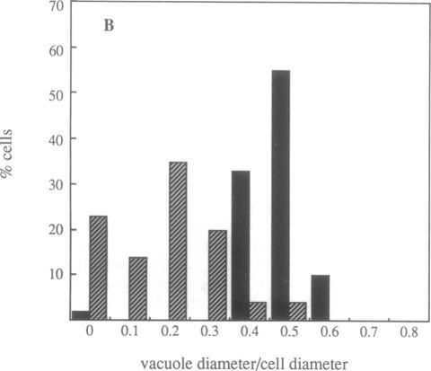 https://cdn.ncbi.nlm.nih.gov/pmc/blobs/77a4/53413/ad60b56d8e71/pnas01028-0230-d.jpg
