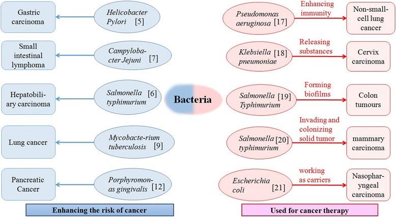 https://cdn.ncbi.nlm.nih.gov/pmc/blobs/77a5/5856380/fbc4a8a8653b/13027_2018_180_Fig1_HTML.jpg