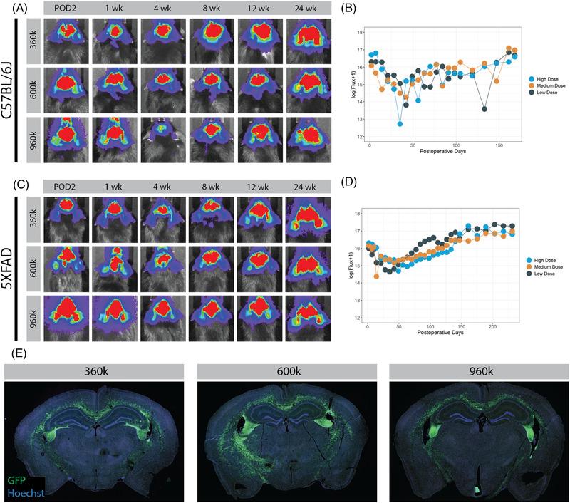 https://cdn.ncbi.nlm.nih.gov/pmc/blobs/77a5/9471059/6a88baab71ad/CTM2-12-e1046-g002.jpg