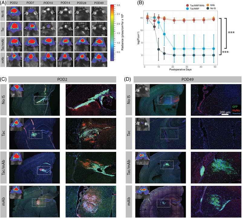 https://cdn.ncbi.nlm.nih.gov/pmc/blobs/77a5/9471059/c7ee1bdad260/CTM2-12-e1046-g003.jpg