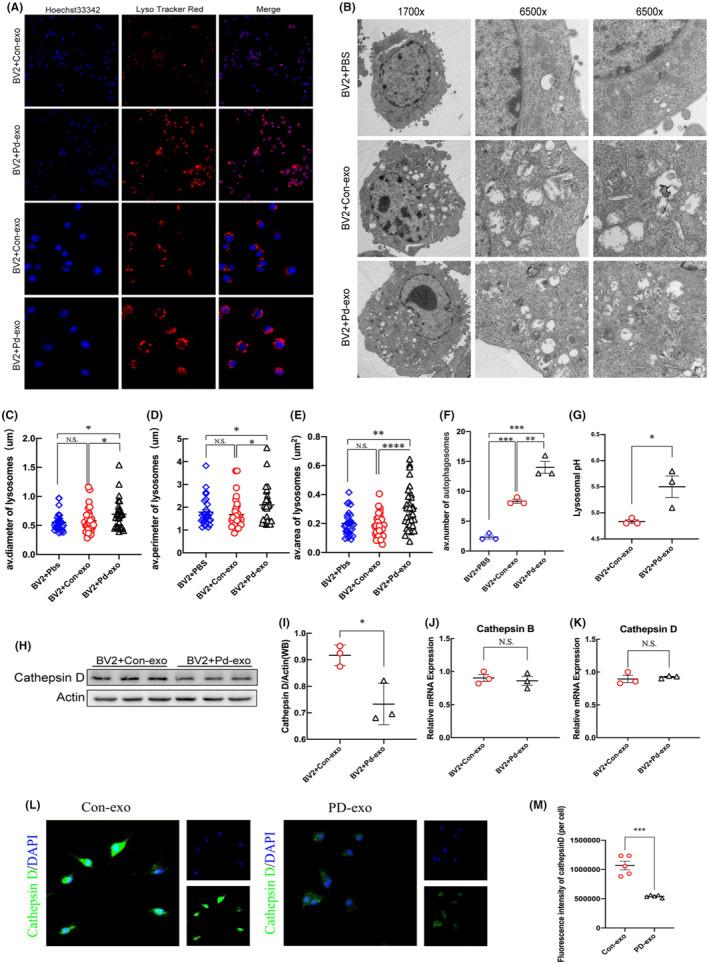 https://cdn.ncbi.nlm.nih.gov/pmc/blobs/77a7/11069054/117e767b5cf1/CNS-30-e14738-g001.jpg