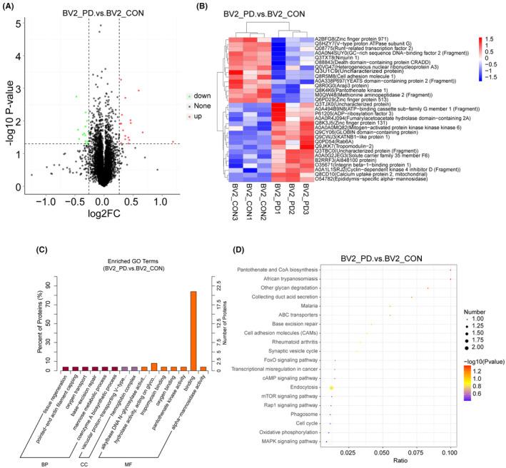 https://cdn.ncbi.nlm.nih.gov/pmc/blobs/77a7/11069054/ae63869945ec/CNS-30-e14738-g006.jpg