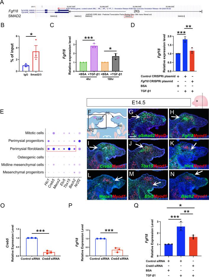 https://cdn.ncbi.nlm.nih.gov/pmc/blobs/77a7/9771365/6284351d0c26/elife-80405-fig6.jpg
