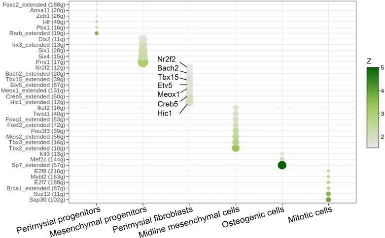https://cdn.ncbi.nlm.nih.gov/pmc/blobs/77a7/9771365/91d6dadb09c7/elife-80405-fig6-figsupp1.jpg