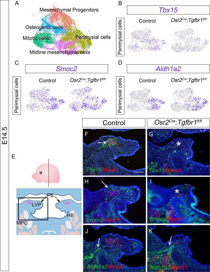 https://cdn.ncbi.nlm.nih.gov/pmc/blobs/77a7/9771365/f34f9d83d313/elife-80405-fig4.jpg