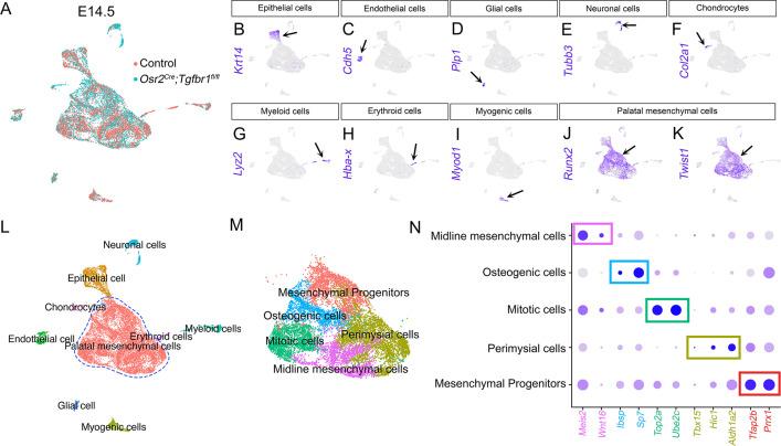 https://cdn.ncbi.nlm.nih.gov/pmc/blobs/77a7/9771365/fe0ef46e7b6c/elife-80405-fig4-figsupp1.jpg