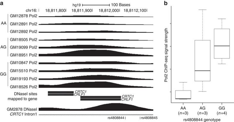 https://cdn.ncbi.nlm.nih.gov/pmc/blobs/77a9/4740398/629cda3283b9/ncomms10495-f3.jpg