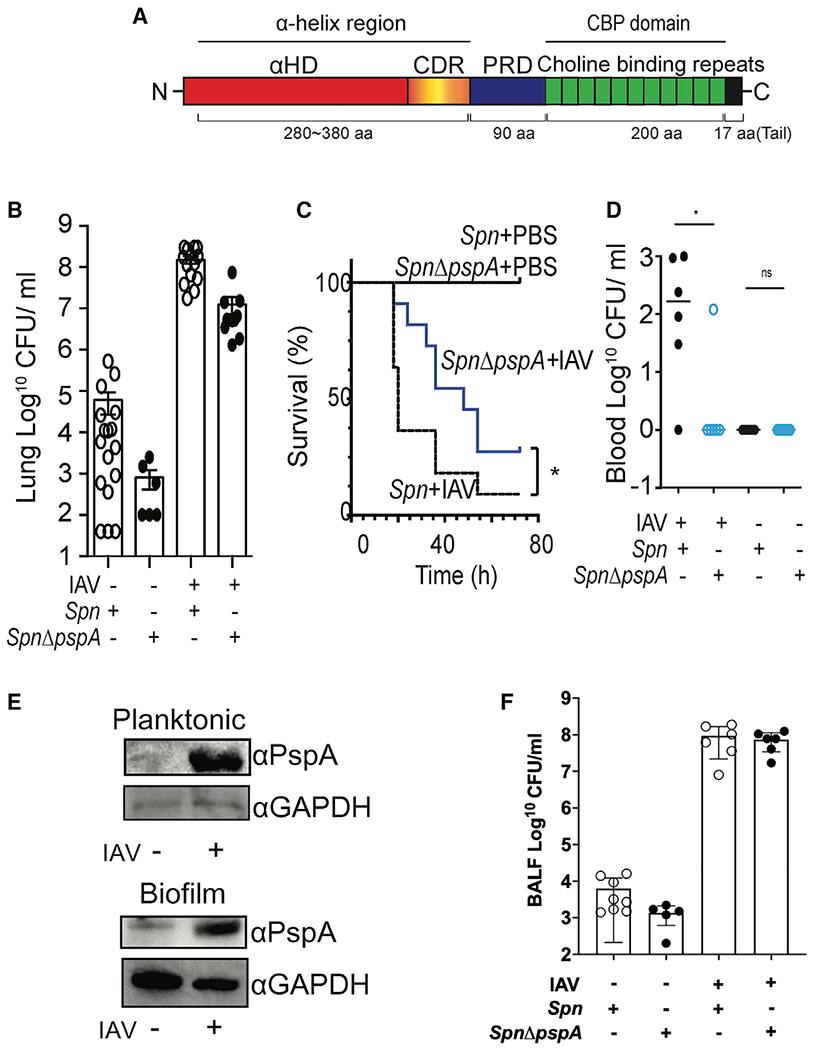https://cdn.ncbi.nlm.nih.gov/pmc/blobs/77aa/8265312/d140bef4f8a8/nihms-1715706-f0001.jpg