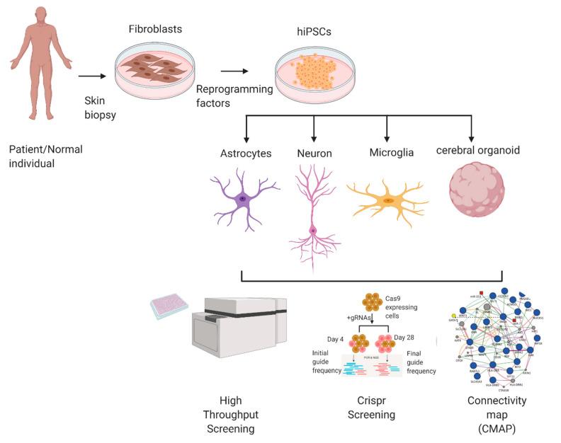 https://cdn.ncbi.nlm.nih.gov/pmc/blobs/77aa/8347370/4fe16d80071f/ijms-22-08196-g001.jpg