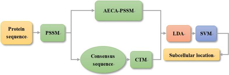 https://cdn.ncbi.nlm.nih.gov/pmc/blobs/77ab/7245797/d608a2cddc1c/12859_2020_3539_Fig5_HTML.jpg
