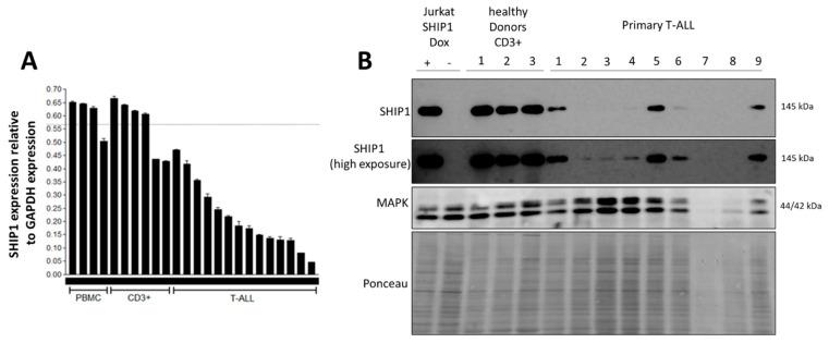 https://cdn.ncbi.nlm.nih.gov/pmc/blobs/77ac/10341211/9c3256009a4c/cells-12-01798-g001.jpg
