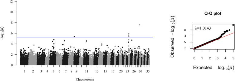 https://cdn.ncbi.nlm.nih.gov/pmc/blobs/77ac/11409489/5b5e8fd94d88/12917_2024_4263_Fig3_HTML.jpg