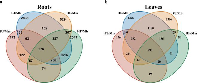 https://cdn.ncbi.nlm.nih.gov/pmc/blobs/77ad/10205808/c0a34def4262/41597_2023_2239_Fig4_HTML.jpg