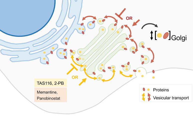 https://cdn.ncbi.nlm.nih.gov/pmc/blobs/77ae/10813373/f434f8ed36f0/biology-13-00001-g004.jpg