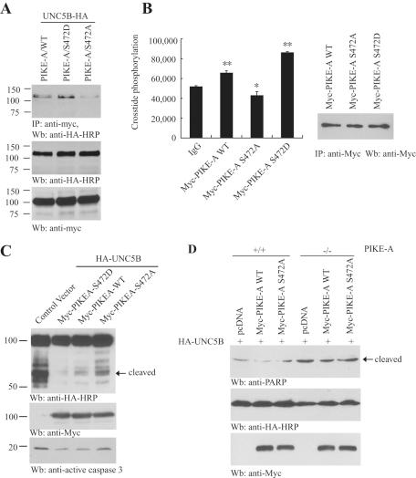 https://cdn.ncbi.nlm.nih.gov/pmc/blobs/77af/3103409/19219ac413f9/1943fig3.jpg