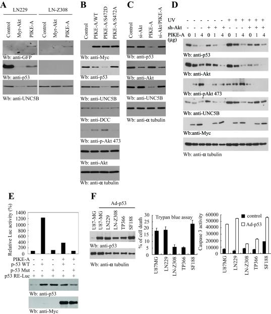 https://cdn.ncbi.nlm.nih.gov/pmc/blobs/77af/3103409/9e7bf8b85a89/1943fig6.jpg