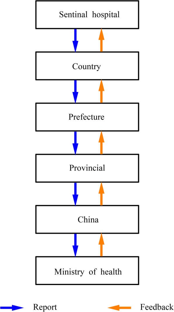 https://cdn.ncbi.nlm.nih.gov/pmc/blobs/77af/7821683/2f0670bff2db/12992_2021_665_Fig2_HTML.jpg