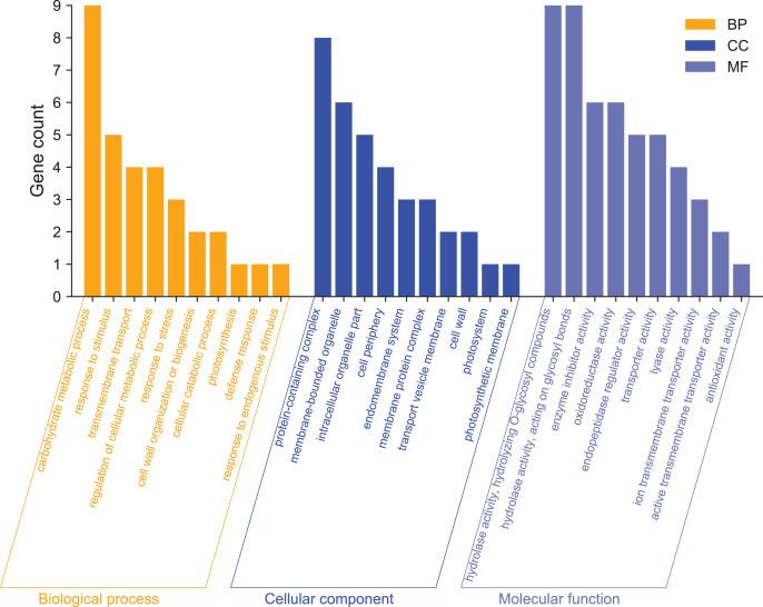 https://cdn.ncbi.nlm.nih.gov/pmc/blobs/77b0/9899434/6b1f62d5fd64/peerj-11-14839-g004.jpg