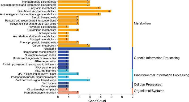 https://cdn.ncbi.nlm.nih.gov/pmc/blobs/77b0/9899434/cb7474334b1c/peerj-11-14839-g005.jpg