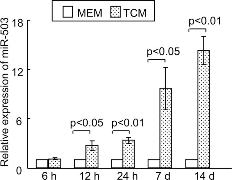 https://cdn.ncbi.nlm.nih.gov/pmc/blobs/77b1/7797339/0be660a53cdb/OTT-14-67-g0002.jpg