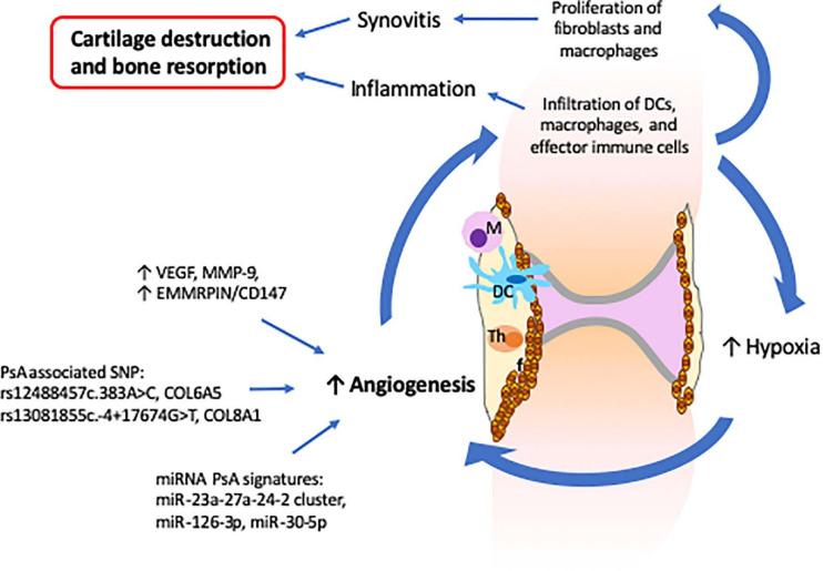 https://cdn.ncbi.nlm.nih.gov/pmc/blobs/77b1/8047476/7f837deba6fe/fmolb-08-662047-g003.jpg