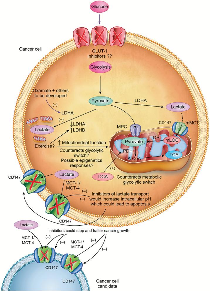 https://cdn.ncbi.nlm.nih.gov/pmc/blobs/77b3/5862360/a63af1b5a2c2/bgw12704.jpg