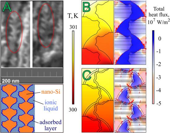 https://cdn.ncbi.nlm.nih.gov/pmc/blobs/77b5/10090056/f8b81930d420/41598_2023_32834_Fig5_HTML.jpg