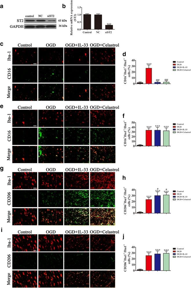 https://cdn.ncbi.nlm.nih.gov/pmc/blobs/77b8/5853059/003acfdd1a1f/12974_2018_1124_Fig5_HTML.jpg