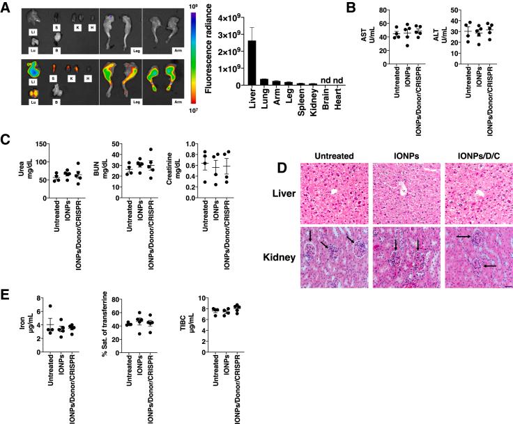 https://cdn.ncbi.nlm.nih.gov/pmc/blobs/77ba/10724691/1e94781f1457/gr4.jpg