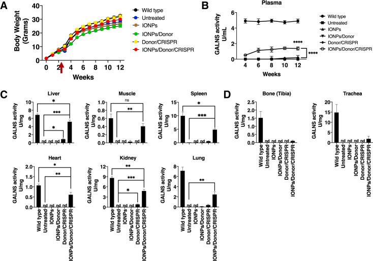 https://cdn.ncbi.nlm.nih.gov/pmc/blobs/77ba/10724691/6c6179fac9e5/gr5.jpg