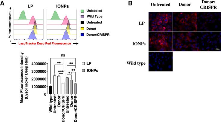 https://cdn.ncbi.nlm.nih.gov/pmc/blobs/77ba/10724691/c49de28653c1/gr3.jpg