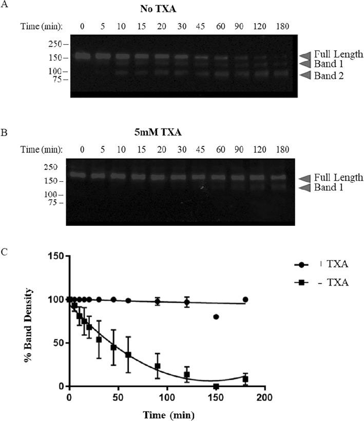 https://cdn.ncbi.nlm.nih.gov/pmc/blobs/77c0/11032339/d29e2efcbd88/41598_2024_59672_Fig7_HTML.jpg