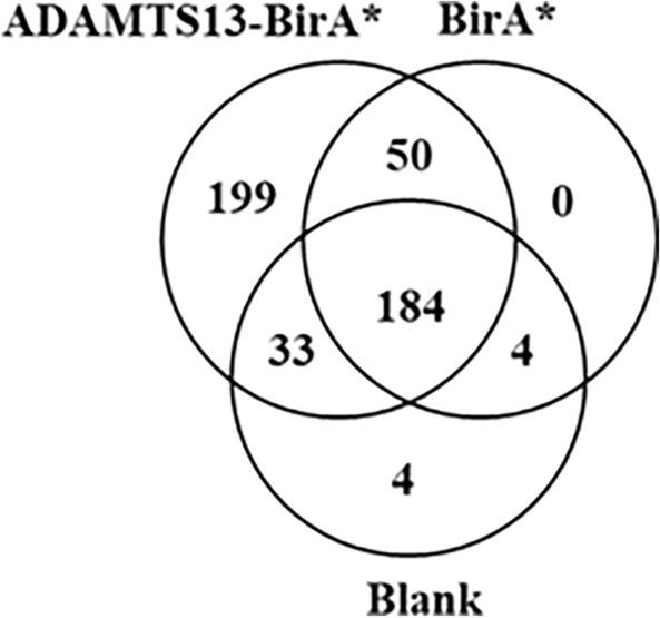 https://cdn.ncbi.nlm.nih.gov/pmc/blobs/77c0/11032339/e98d608da48b/41598_2024_59672_Fig3_HTML.jpg