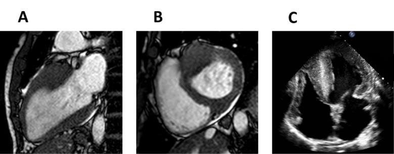 https://cdn.ncbi.nlm.nih.gov/pmc/blobs/77c0/11273868/6d5580741693/2153-8174-23-6-192-g3.jpg