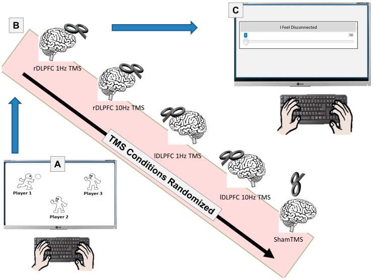 https://cdn.ncbi.nlm.nih.gov/pmc/blobs/77c1/10377502/4858a5cfb001/brainsci-13-00989-g001.jpg